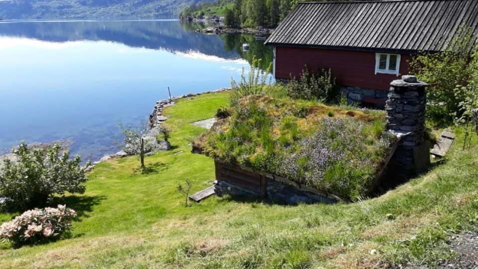 Svarstadvika Stryn Exteriör bild